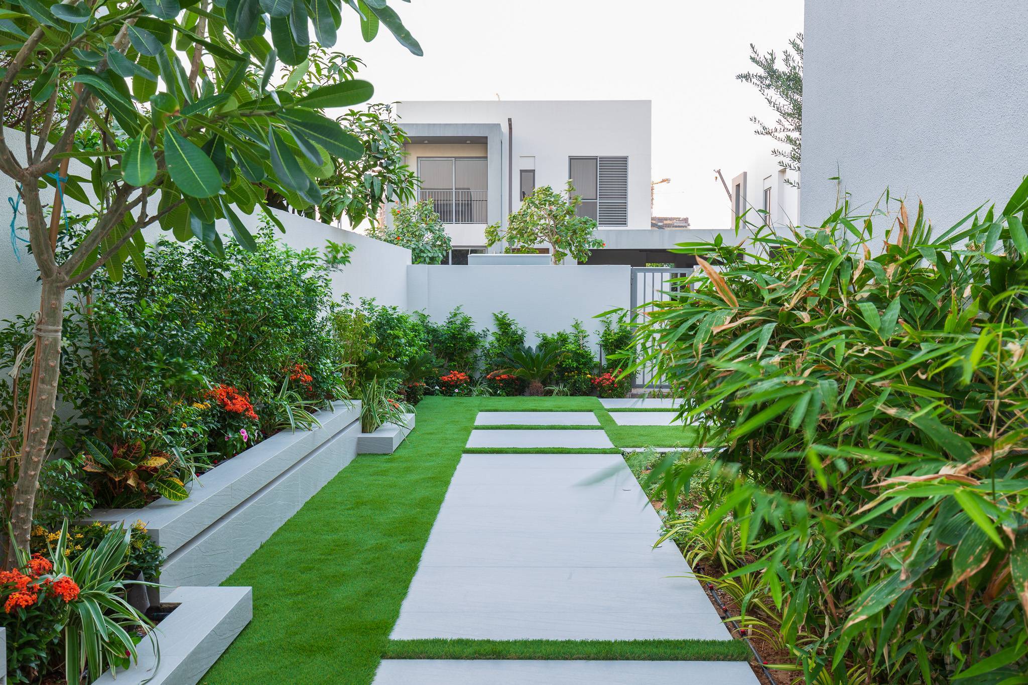 Tailored Planting Plans for Thriving Gardens