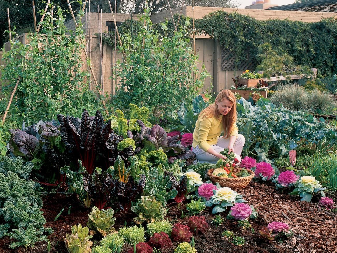 Garden and Vegetable Garden Planning with Care
